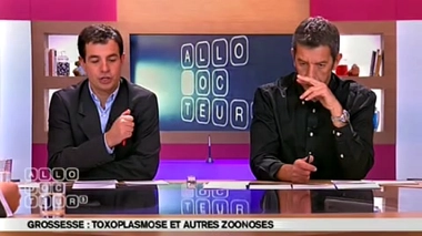 Grossesse et animaux : quels risques ?