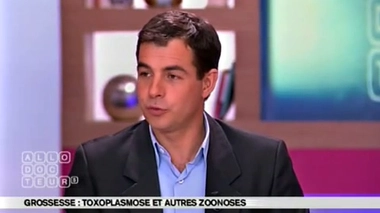 Grossesse : comment se transmet la fièvre Q ?