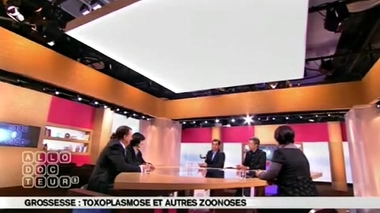 Grossesse : des risques de toxoplasmose en caressant son chat ?