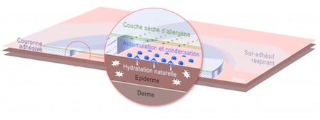 Mécanisme d'action du patch. Capture d'écran DBV. 
