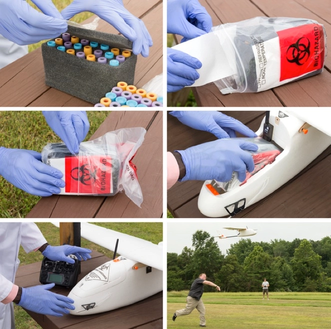 Protocole expérimental