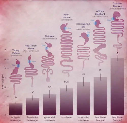 © 2015 Beasley et al.