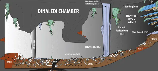Schéma du site de découverte des ossements, la ''chambre Dinaledi''.