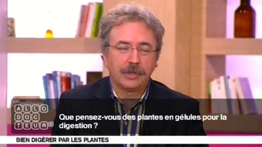 Digestion : des plantes en gélules ou en tisane ?