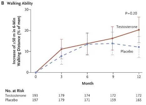 Le second graphique présente le pourcentage d’hommes ayant amélioré "d’au moins 50 mètres" la distance parcourue durant un test de marche de six minutes. (Source : NEJM)