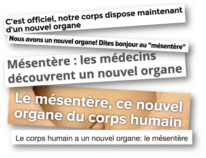 Quelques titres dans la presse ce 4 janvier.