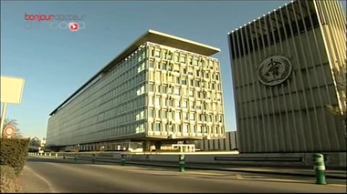 Bilan sur la grippe A en octobre 2010