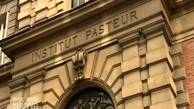 Comment découvre-t-on les virus ?