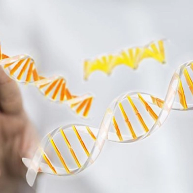 Maladies rares : la maladie dans les gènes