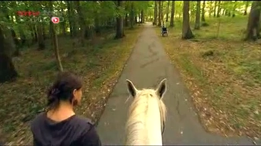 Rééducation : les bienfaits de l'équithérapie