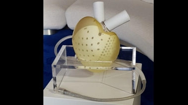 Coeur artificiel : l'entreprise française Carmat obtient la certification européenne