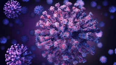 Image d'illustration.