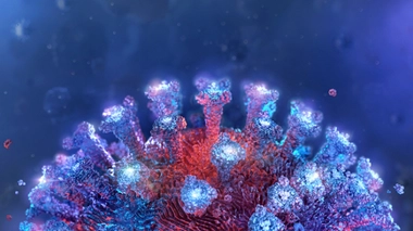 Le variant Delta suscite des inquiétudes en Nouvelle-Aquitaine