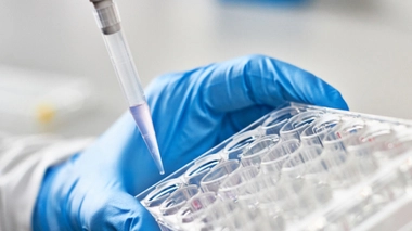 Image d'illustration.