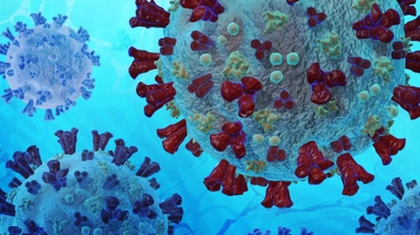 EN IMAGES - Les dix moments-clés de la pandémie de Covid