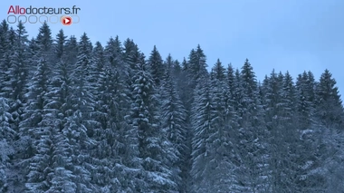 On a participé à un stage de survie en milieu hostile