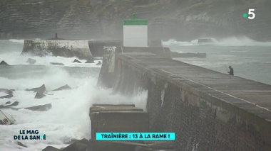 Régates de trainières : entre tradition et compétition