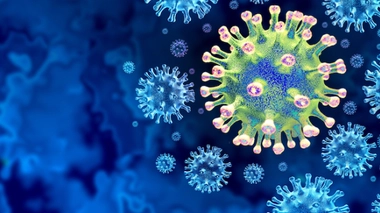 Image d'illustration.