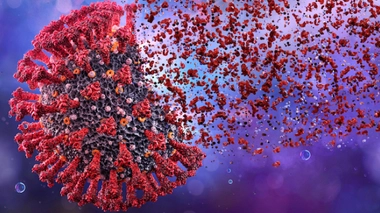 Image d'illustration.