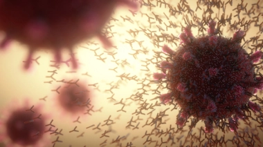 La HAS autorise un traitement par anticorps monoclonaux pour prévenir le Covid-19 chez les plus fragiles (Image d'illustration)