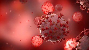 Image d'illustration.