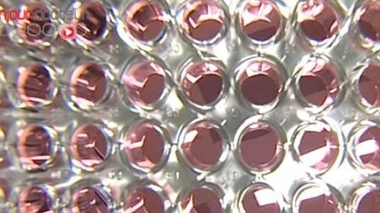 Médicaments : de la recherche à la pharmacovigilance