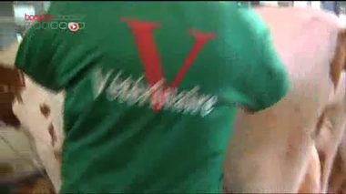 Les vétérinaires du Salon de l'agriculture