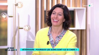 Pourquoi les frais de vétérinaire sont-ils si chers ?