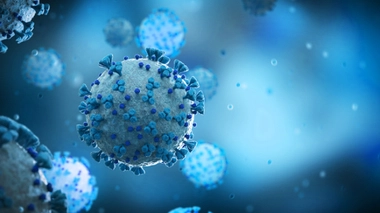 Image d'illustration.