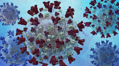 Covid : deux nouveaux variants identifiés en France ?
