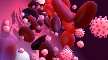 Image d'illustration.