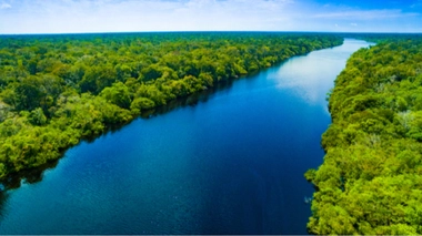 Du Kenya à l'Amazonie : la traque de la prochaine pandémie