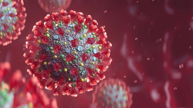 Image d'illustration.