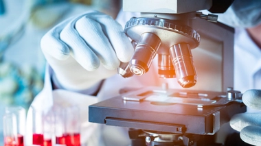 Image d'illustration.