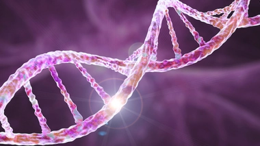 Image d'illustration.