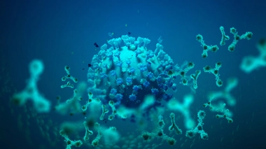 Image d'illustration.