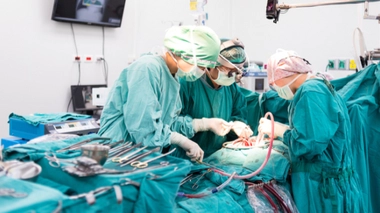 Image d'illustration. Crédits Photo : © ChaNaWiT / Shutterstock