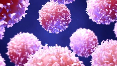 Image d'illustration. Représentation 3D de lymphoyctes B.