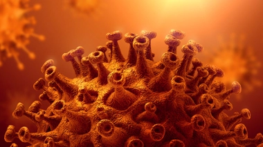 Image d'illustration.