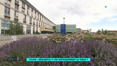 Variant indien : la France séquence-t-elle assez le virus ?