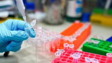 Image d'illustration.