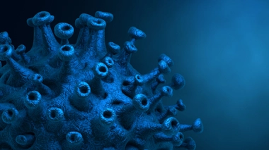 Image d'illustration.