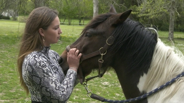 Enquête de santé : Ces animaux qui nous soignent, ce soir sur France 5
