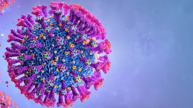 Image d'illustration.