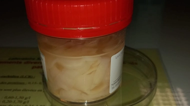 Un ténia de 4 mètres de long chez un homme de 26 ans