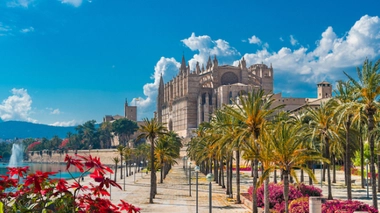 Le cluster s'est déclaré à Palma de Majorque, où des jeunes étudiants étaient venus fêter la fin de leurs examens.
