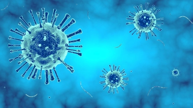 Image d'illustration.