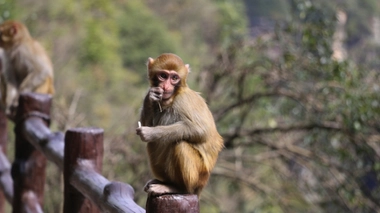 Image d'illustration. 