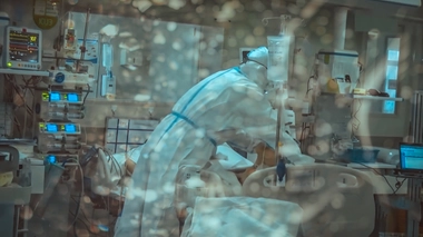 Image d'illustration. Crédits Photo : ©shutter_o /Shutterstock