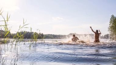 Image d'illustration. Crédits Photo : © Koldunov Alexey / Shutterstock